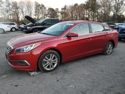 5NPE24AF4HH516693 2017 HYUNDAI SONATA