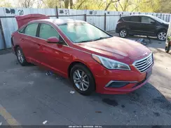 5NPE24AF4HH517570 2017 HYUNDAI SONATA