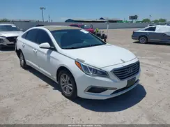 5NPE24AF4HH519318 2017 HYUNDAI SONATA