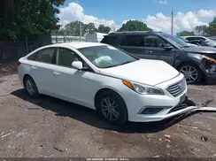 5NPE24AF4HH521599 2017 HYUNDAI SONATA