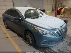 5NPE24AF4HH523353 2017 HYUNDAI SONATA