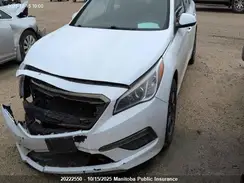 5NPE24AF4HH526317 2017 HYUNDAI SONATA