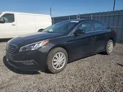5NPE24AF4HH528973 2017 HYUNDAI SONATA