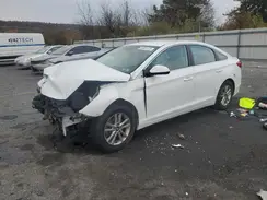 5NPE24AF4HH532215 2017 HYUNDAI SONATA