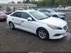 5NPE24AF4HH541304 2017 HYUNDAI SONATA