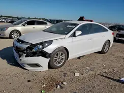 5NPE24AF4HH556272 2017 HYUNDAI SONATA
