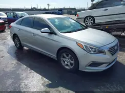5NPE24AF4HH557597 2017 HYUNDAI SONATA