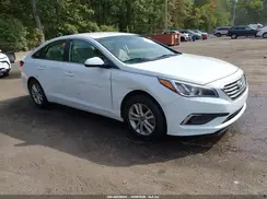 5NPE24AF4HH561777 2017 HYUNDAI SONATA