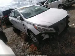 5NPE24AF4HH566171 2017 HYUNDAI SONATA