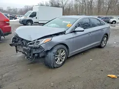 5NPE24AF4HH568910 2017 HYUNDAI SONATA