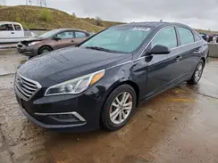 5NPE24AF4HH581995 2017 HYUNDAI SONATA