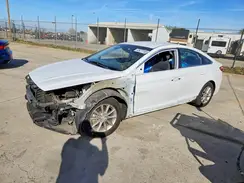 5NPE24AF4KH729523 2019 HYUNDAI SONATA