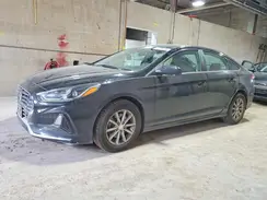 5NPE24AF4KH731837 2019 HYUNDAI SONATA