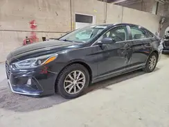 5NPE24AF4KH731854 2019 HYUNDAI SONATA