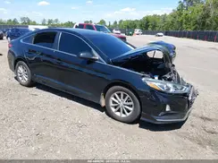 5NPE24AF4KH734091 2019 HYUNDAI SONATA