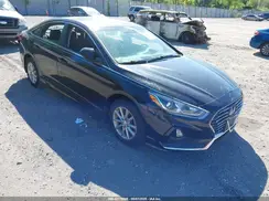 5NPE24AF4KH735581 2019 HYUNDAI SONATA