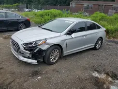 5NPE24AF4KH736598 2019 HYUNDAI SONATA