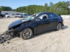 5NPE24AF4KH741915 2019 HYUNDAI SONATA