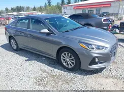 5NPE24AF4KH742434 2019 HYUNDAI SONATA