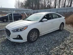 5NPE24AF4KH743146 2019 HYUNDAI SONATA