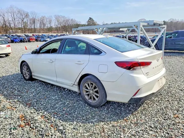 5NPE24AF4KH743146 2019 HYUNDAI SONATA - Image 2