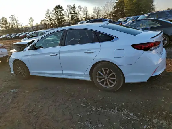 5NPE24AF4KH743678 2019 HYUNDAI SONATA - Image 2