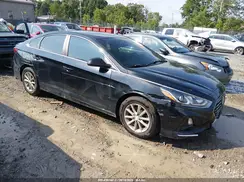 5NPE24AF4KH747066 2019 HYUNDAI SONATA
