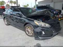 5NPE24AF4KH755250 2019 HYUNDAI SONATA