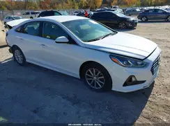 5NPE24AF4KH755572 2019 HYUNDAI SONATA