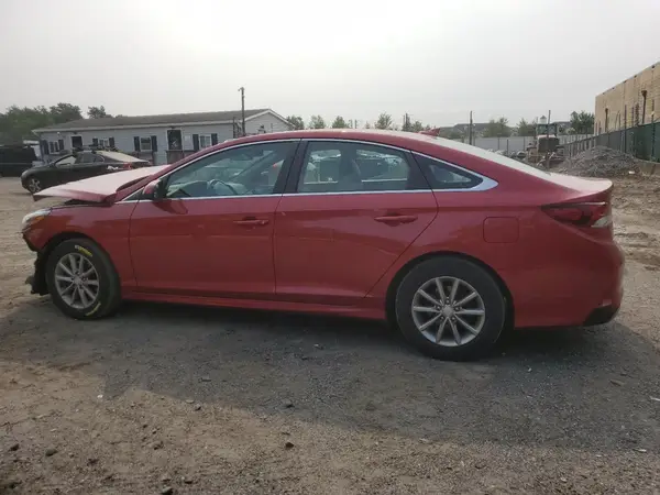 5NPE24AF4KH769181 2019 HYUNDAI SONATA - Image 2