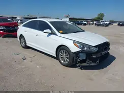 5NPE24AF4KH770539 2019 HYUNDAI SONATA