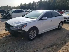 5NPE24AF4KH771674 2019 HYUNDAI SONATA