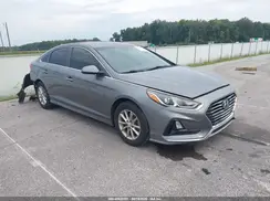 5NPE24AF4KH780701 2019 HYUNDAI SONATA