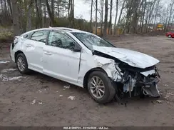 5NPE24AF4KH781489 2019 HYUNDAI SONATA