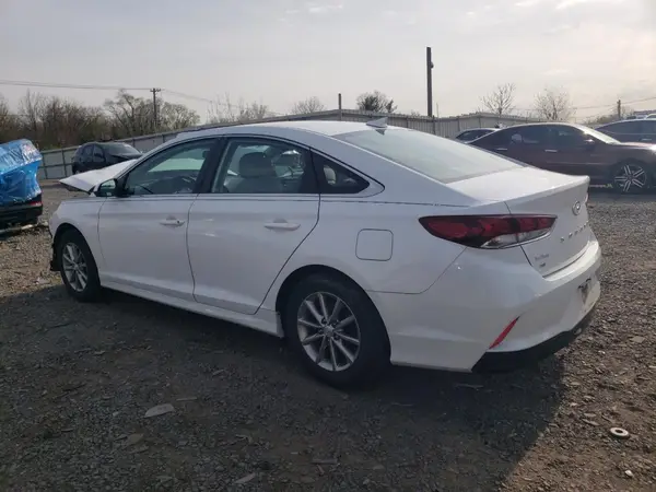 5NPE24AF4KH783663 2019 HYUNDAI SONATA - Image 2