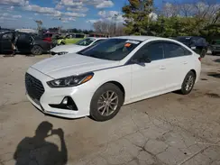 5NPE24AF4KH785445 2019 HYUNDAI SONATA