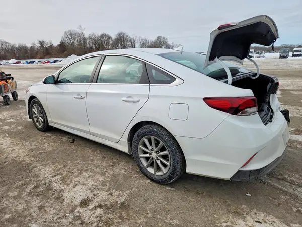5NPE24AF4KH786319 2019 HYUNDAI SONATA - Image 2