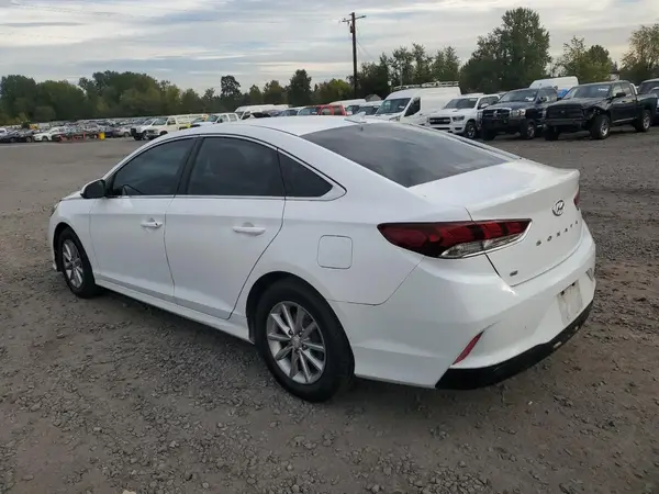 5NPE24AF4KH786479 2019 HYUNDAI SONATA - Image 2