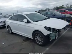 5NPE24AF4KH786577 2019 HYUNDAI SONATA