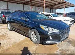 5NPE24AF4KH788295 2019 HYUNDAI SONATA