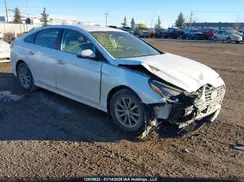 5NPE24AF4KH789527 2019 HYUNDAI SONATA