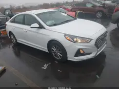 5NPE24AF4KH792606 2019 HYUNDAI SONATA