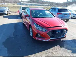 5NPE24AF4KH799331 2019 HYUNDAI SONATA