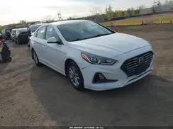 5NPE24AF4KH799507 2019 HYUNDAI SONATA