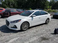 5NPE24AF4KH800218 2019 HYUNDAI SONATA