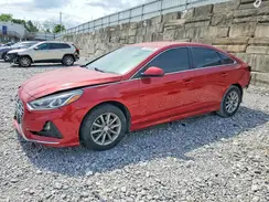 5NPE24AF4KH802597 2019 HYUNDAI SONATA