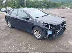 5NPE24AF4KH805211 2019 HYUNDAI SONATA