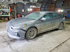 5NPE24AF4KH806925 2019 HYUNDAI SONATA