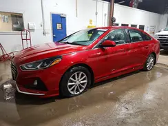 5NPE24AF4KH807010 2019 HYUNDAI SONATA