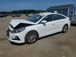 5NPE24AF4KH809291 2019 HYUNDAI SONATA